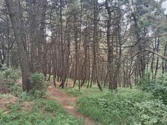 -高尔山公园