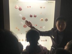 -青岛贝壳博物馆