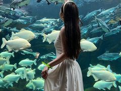 -波塞冬旅游度假区