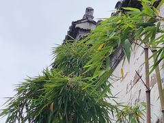-青果巷历史文化街区