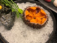 海胆刺身-官也街澳门火锅(新源里店)