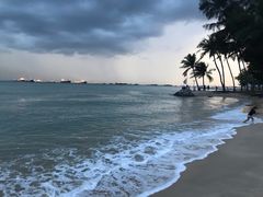 -东海岸人工湖美食村