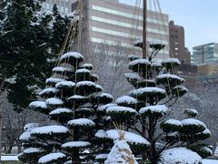 -北海道厅旧本厅舍(旧本庁舎)