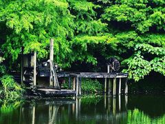 -深圳国际园林花卉博览园