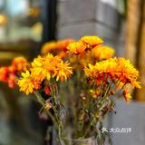 门店是一家傣味餐厅一共有两层菜品和环境 颜值都巨高