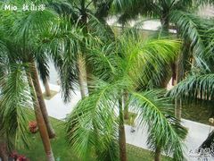 -三亚亚龙湾红树林度假酒店