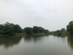 -梁鸿国家湿地公园
