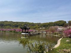 -苏州上方山国家森林公园
