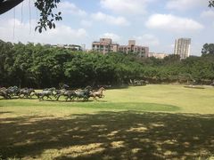 -广州雕塑公园