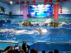 -多彩贵州城极地海洋世界