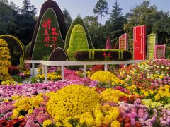 -南山植物园