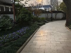 -上海醉白池公园