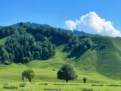 -新疆那拉提国家旅游度假区