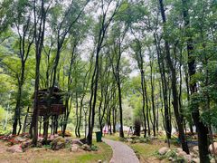 -三块石国家森林公园