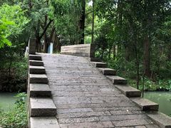 -同里国家湿地公园