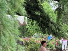 -国家植物园南园