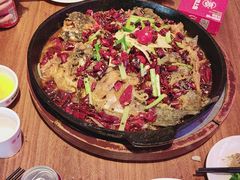 -老板恋上鱼(恒隆广场店)