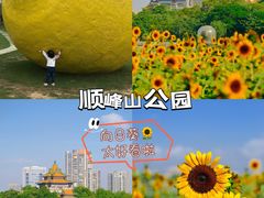 -史努比缤纷世界