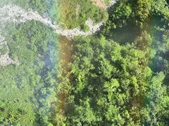 -鹿院坪生态旅游景区