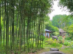 -龙井草堂