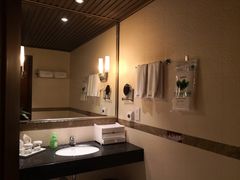 -雅安楠水阁温泉酒店