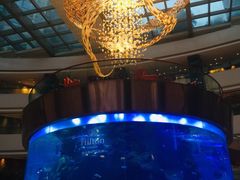 -OPEN開全日自助餐厅·牛肉火锅·海鲜(佛山希尔顿酒店)