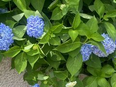 -瑞安圣井山景区