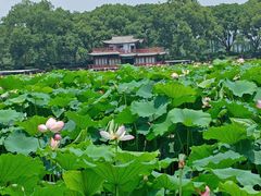 -西湖文化广场