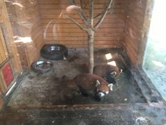 -武汉紫薇都市田园