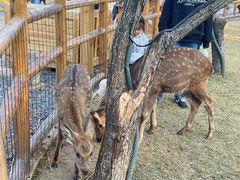 -茅山东方盐湖城景区