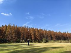 -黄海国家森林公园