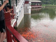 -西海子公园