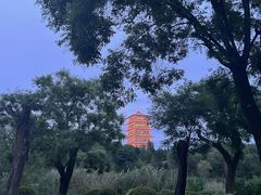 -Supine Bistro溯泮餐厅