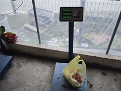 -马陆小张葡萄园农家乐