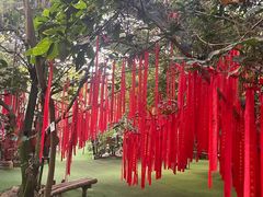 -呀路古热带植物园