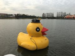 -上海长兴岛郊野公园