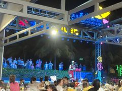 -渔家火锅·海鲜自助餐·演艺(亚龙湾天域酒店)