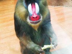 -荆州中山公园动物园