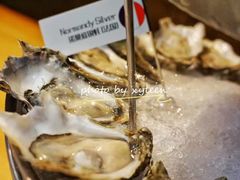 法国诺曼底银蚝-囧吉香生蚝牛排馆(湖北路店)