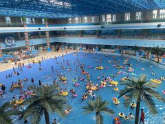 -海豚堡温泉水乐园
