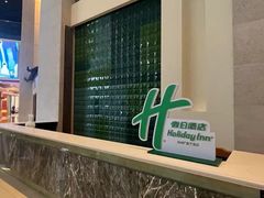 -上海浦东康桥绿地假日酒店
