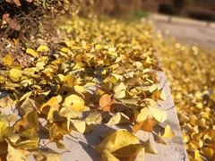 -哈尔滨师范大学-第2学生食堂