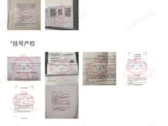 -首都医科大学附属北京天坛医院