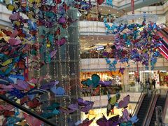 -周鱼小馆石锅酸菜鱼(活力汇店)