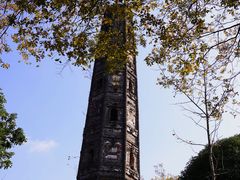 -上海佘山国家森林公园天马山园