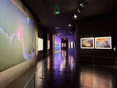 -罗红摄影艺术馆