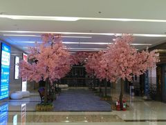 -上海颛桥万达广场