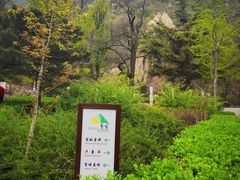 -鹫峰国家森林公园