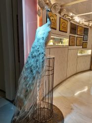 -英芬国际月子中心(岛屿度假月子·洲至奢选香岚店)