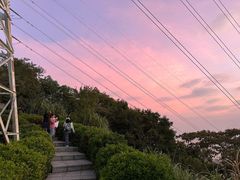 -小南山公园